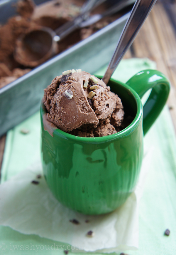 Chocolate Mint Ice Cream {eggless} I Wash... You Dry