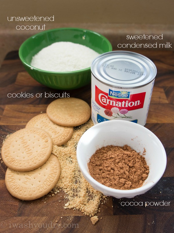 Chocolate Coconut Cookie Truffles {Yum Yum Balls} I Wash... You Dry