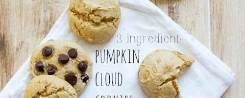 3 Ingredient Pumpkin Cloud Cookies with Chocolate Chips